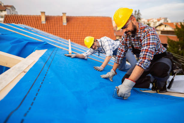 Best Roof Gutter Cleaning  in Woodland, WA