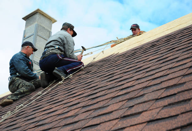 Best Roof Maintenance Services  in Woodland, WA